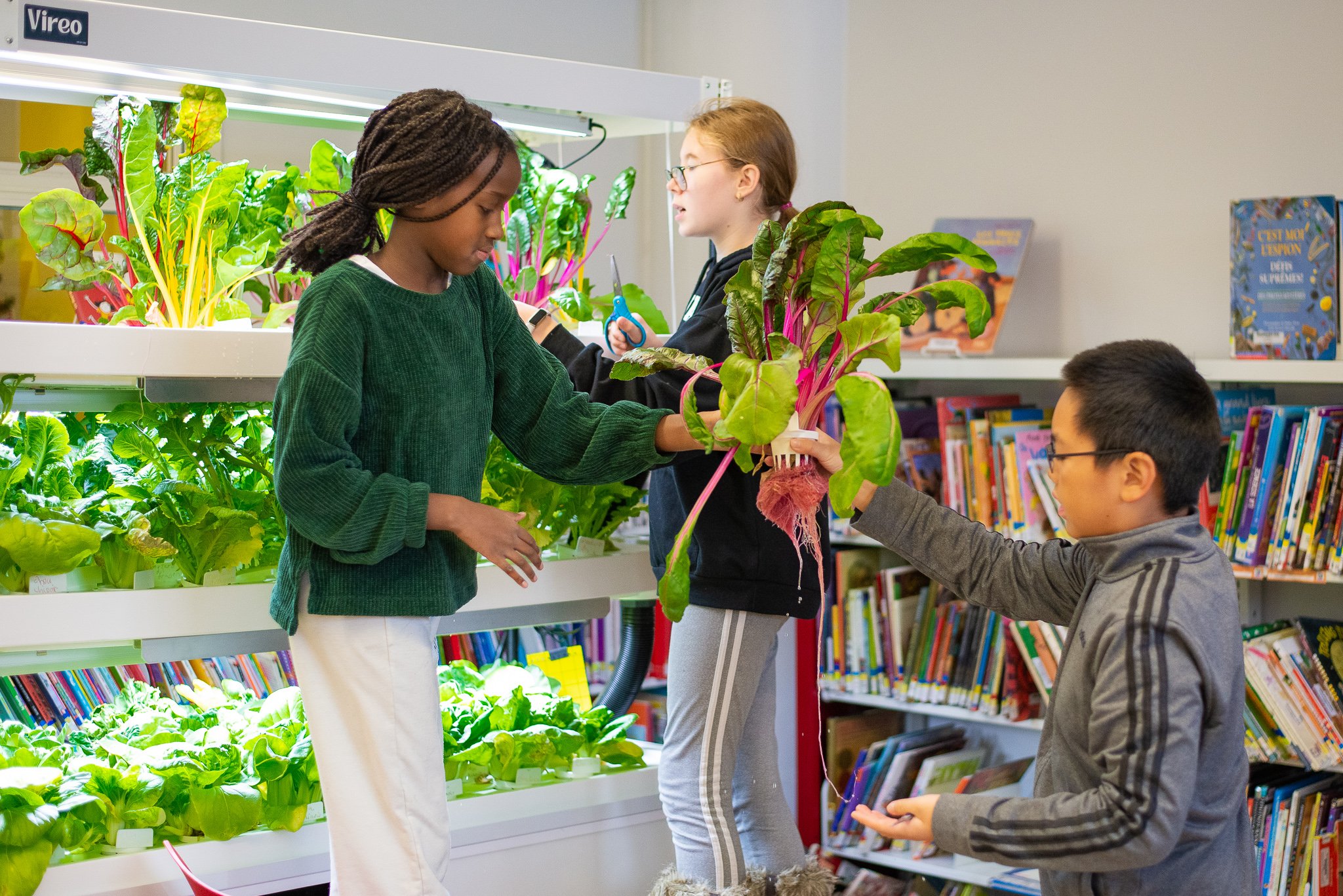 Boosting Creativity through Arts in Preschools